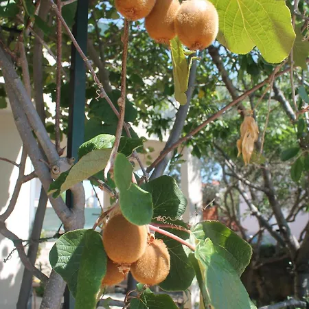 With Parking Space Businci, Ciovo - 14010 * Trogir