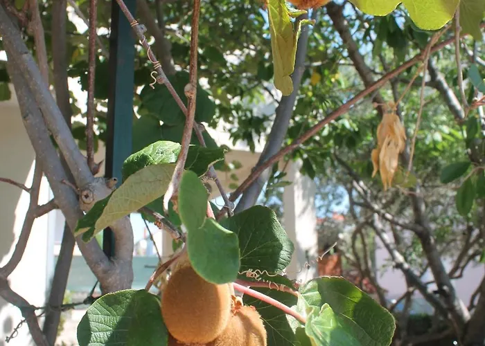 With Parking Space Businci, Ciovo - 14010 * Τρογκίρ